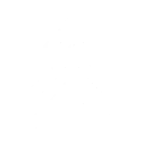 Toll-Sergeant — the foe's portrait.